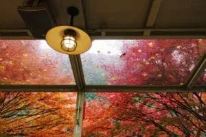 A view of a fall landscape through a window. Fall HVAC Maintenance.