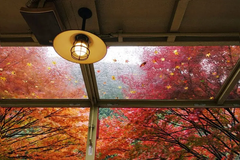 A view of a fall landscape through a window. Fall HVAC Maintenance.