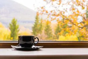 Indoor Air Quality in Fall