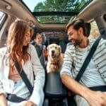 Family with dog in the car