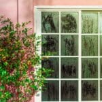 Home Humidifier important