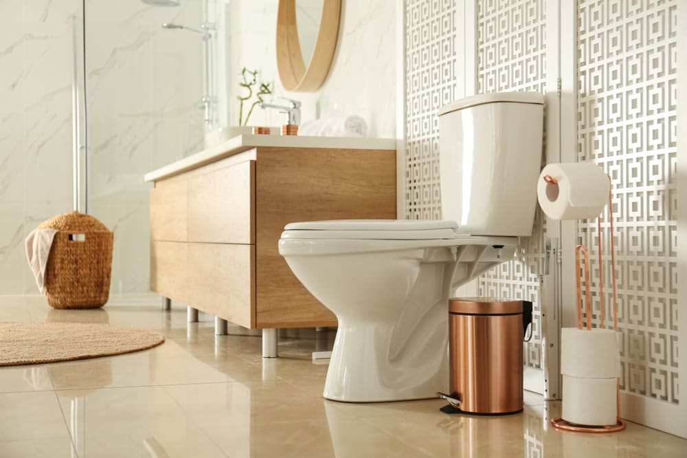 Toilet Repairs & Replacement - Just Right How to Replace a Toilet Flange