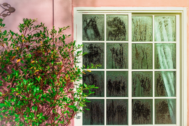 Why Is a Home Dehumidifier Important? Glass door with condensation and a tree, high humidity.